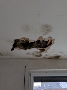BURST20191129160543635_COVER.jpg