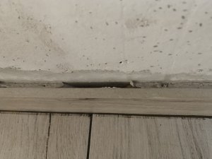 13983CAE-1F34-4A73-A163-8A6ABC880231.jpeg