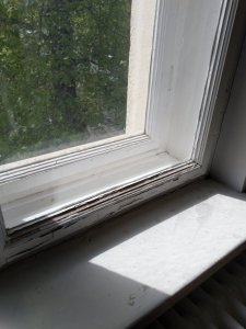 IMG_20200424_114929.jpg