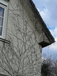 IMG_20200307_154207 (3).jpg