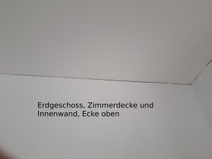 Foto3.jpg