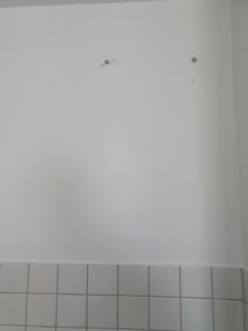 20200505_120530.jpg