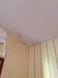 image5.jpeg
