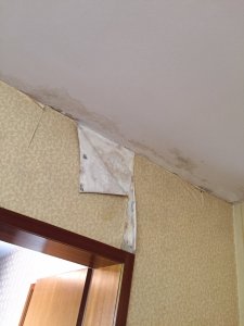 image6.jpeg