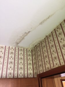 image7.jpeg