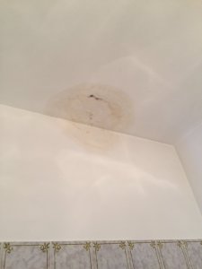 image12.jpeg