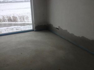 IMG_1032.jpg