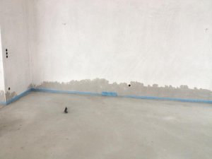 IMG_1035.jpg