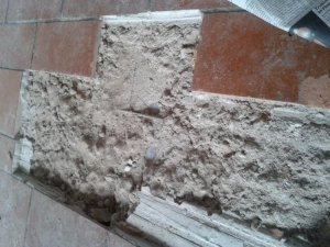 IMG_20130318_075055.jpg