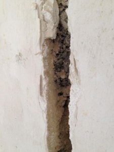 Foto 1.jpg