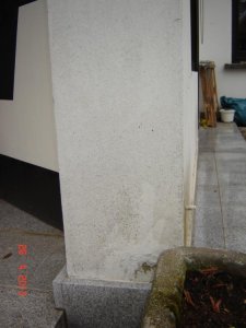 DSC05016.jpg