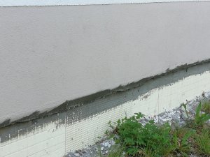 IMG_20200516_085939.jpg