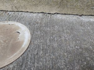 IMG_20200516_134954.jpg