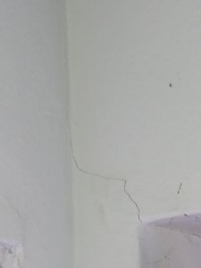 IMG_20200516_120303.jpg