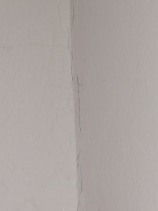 IMG_20200516_120324.jpg