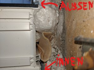 Fenster_Blick_von_oben.jpg