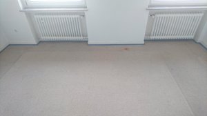 Heizkörper DSC_2465.JPG