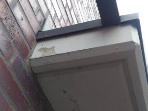 IMG_20200522_151331965.jpg