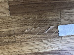 F8A22234-50A0-4EAF-B29E-051E78FCE067.jpeg