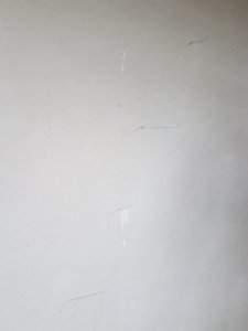 20200524_154243.jpg