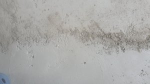 20200525_173605.jpg