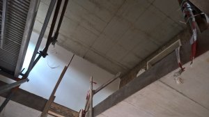 WP_20200529_11_59_45_Pro.jpg
