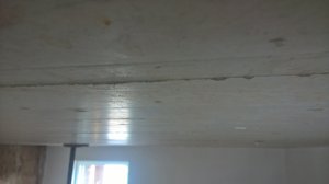 WP_20200529_12_00_35_Pro.jpg