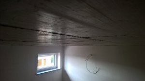 WP_20200529_12_00_46_Pro.jpg