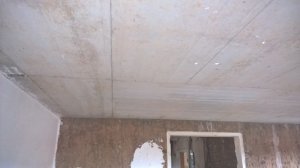 WP_20200529_12_00_58_Pro.jpg