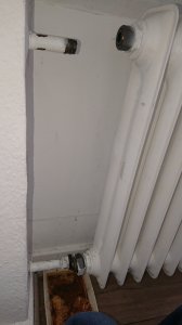 Heizkörper demontiert DSC_2211.JPG