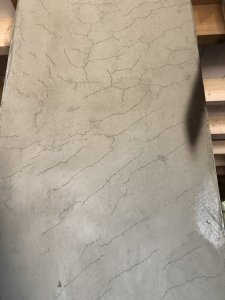 IMG_1387.jpg