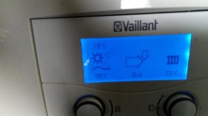 Vaillant6.jpg