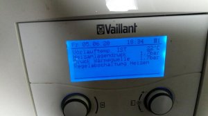 vaillant4.jpg