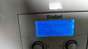 vaillant3.jpg