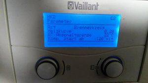vaillant2.jpg