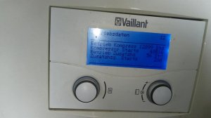 vaillant1.jpg