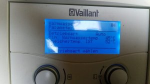 Vaillant7.jpg