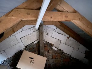 477BE946-EBAF-41BB-BDB5-F8BF82335633.jpeg
