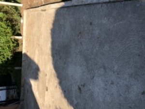 1B73C88F-F9A0-4BA2-B247-A816902AF744.jpeg