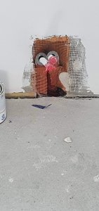 20200611_174351.jpg
