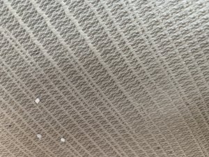 IMG_4884.jpeg