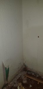 WhatsApp Image 2020-06-09 at 21.31.38.jpeg