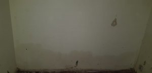 WhatsApp Image 2020-06-09 at 21.31.39 (2).jpeg