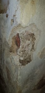 WhatsApp Image 2020-06-09 at 21.31.39 (3).jpeg