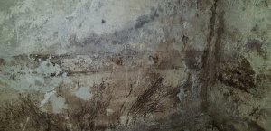 WhatsApp Image 2020-06-09 at 21.31.39.jpeg