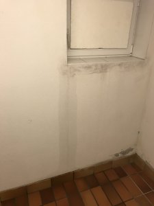 IMG_3264.jpg