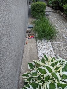 IMG_20200618_204250.jpg