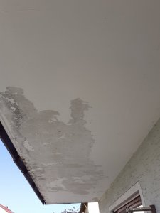 20200621_082456.jpg