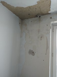 IMG_20200621_113148.jpg