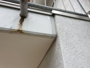20200620_125536.jpg